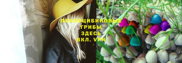 стафф Верея