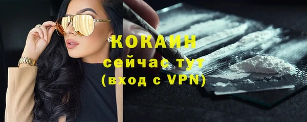 стафф Верея