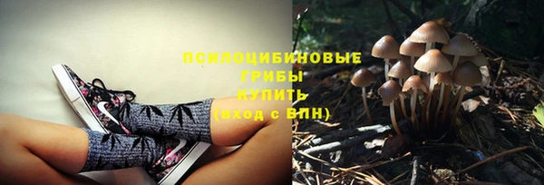 стафф Верея