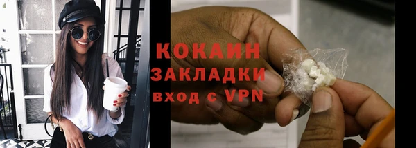 индика Верхний Тагил