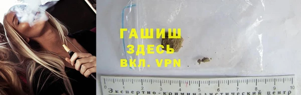 индика Верхний Тагил