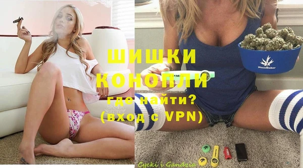 индика Верхний Тагил