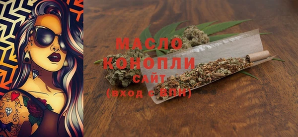 индика Верхний Тагил