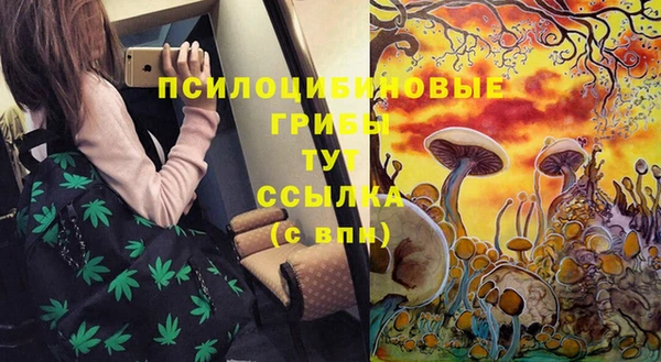индика Верхний Тагил
